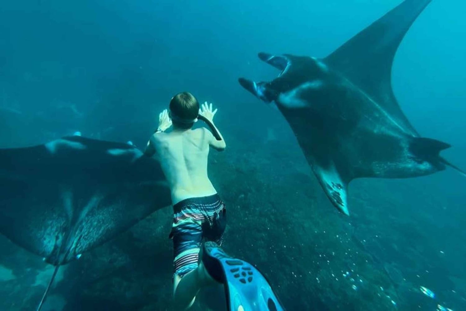 Nusa Penida Private Boat Adventure with Mantas