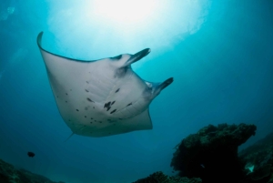 Nusa Penida Private Boat Adventure with Mantas