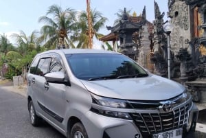 Nusa Penida: Private Car Rental