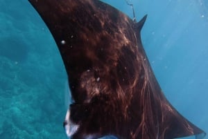 Nusa Penida:Private Land Tour & Snorkeling Nusa Penida