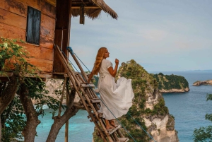 Nusa Penida: Paquete turístico privado de un día