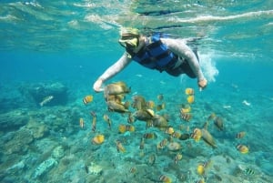 Nusa Penida: Private One Day Trip Adventure Package