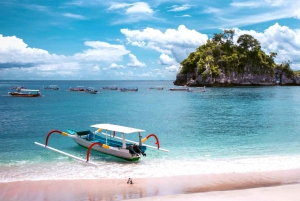 Nusa Penida: Privat dagsutflykt med äventyrspaket