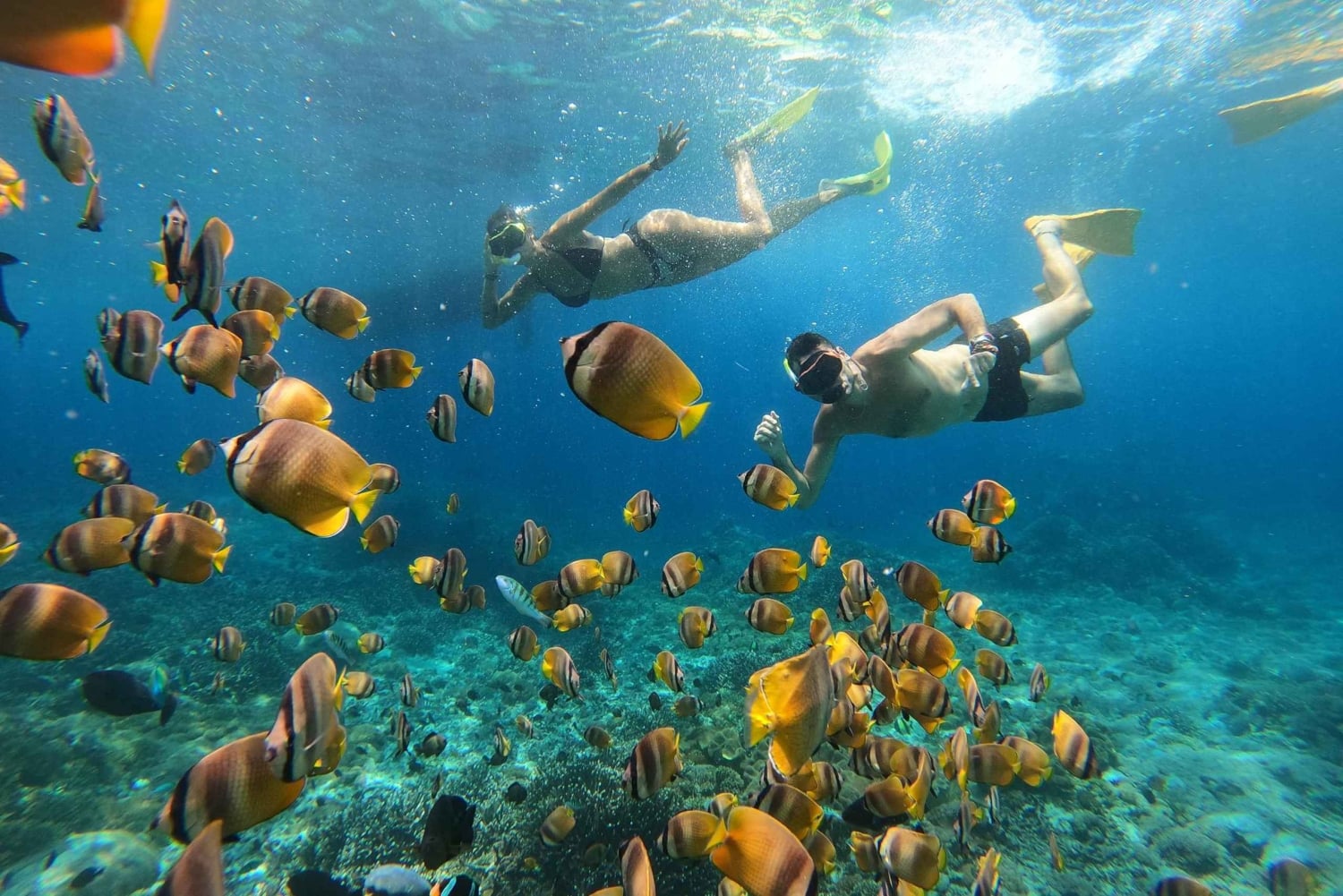 Nusa Penida: Private Snorkel, Chill Stop & Kelingking Sunset