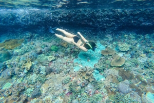 Nusa Penida: Private Snorkel, Chill Stop & Kelingking Sunset