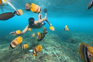 Nusa Penida: Private Snorkel, Chill Stop & Kelingking Sunset