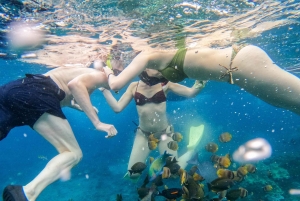 Nusa Penida: Private Snorkel, Chill Stop & Kelingking Sunset