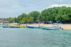 Nusa Penida: Private Snorkel, Chill Stop & Kelingking Sunset