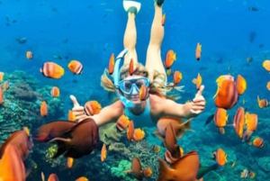 Nusa Penida: Private Or Shared Fastboat Snorkeling Trip