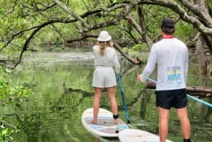 Nusa Penida: Snorklaa 3 paikassa GoPro-kameralla ja mangrovemelontaretki