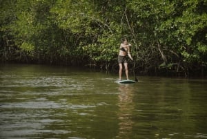 Nusa Penida: Snorklaa 3 paikassa GoPro-kameralla ja mangrovemelontaretki