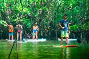Nusa Penida: Snorklaa 3 paikassa GoPro-kameralla ja mangrovemelontaretki
