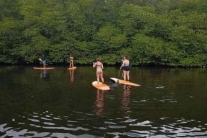 Nusa Penida: Snorklaa 3 paikassa GoPro-kameralla ja mangrovemelontaretki