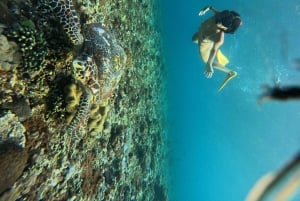 Nusa Penida: Snorklaa 3 paikassa GoPro-kameralla ja mangrovemelontaretki