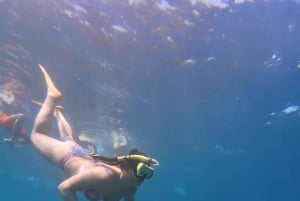 Nusa Penida: Snorklaa 3 paikassa GoPro-kameralla ja mangrovemelontaretki