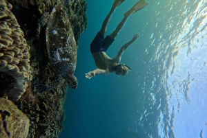 Nusa Penida: Snorklaa 3 paikassa GoPro-kameralla ja mangrovemelontaretki