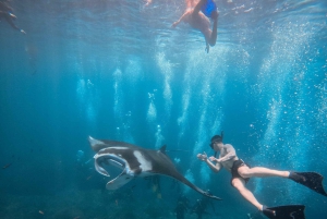 Nusa Penida: Snorkling 3 steder med GoPro & kajak i mangrover