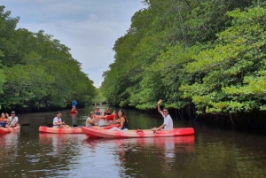 Nusa Penida: Snorkling 3 steder med GoPro & kajak i mangrover