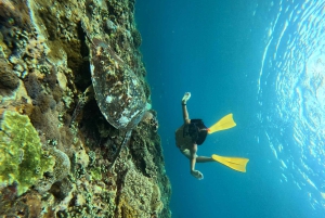 Nusa Penida: Snorkling 3 steder med GoPro & kajak i mangrover