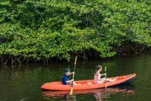 Nusa Penida: Snorkling 3 steder med GoPro & kajak i mangrover
