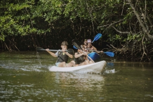 Nusa Penida: nurkowanie z rurką w 3 miejscach z kamerą GoPro i kajakiem wśród namorzynów