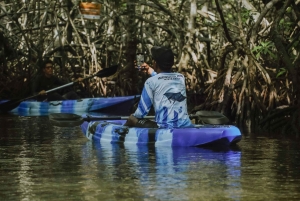 Nusa Penida: nurkowanie z rurką w 3 miejscach z kamerą GoPro i kajakiem wśród namorzynów