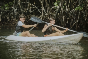 Nusa Penida: nurkowanie z rurką w 3 miejscach z kamerą GoPro i kajakiem wśród namorzynów