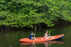 Nusa Penida: nurkowanie z rurką w 3 miejscach z kamerą GoPro i kajakiem wśród namorzynów