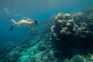 Nusa Penida: Schnorcheln 3 Spots mit GoPro & West Land Tour