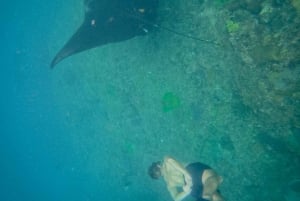 Nusa Penida: Schnorcheln 3 Spots mit GoPro & West Land Tour