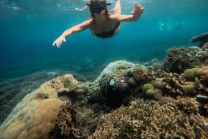 Nusa Penida: snorkel en 3 sitios con GoPro y tour por el oeste