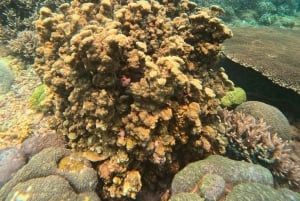 Nusa Penida: snorkel en 3 sitios con GoPro y tour por el oeste