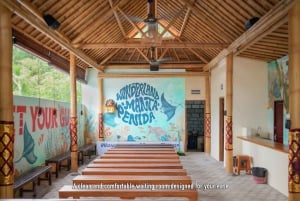 Nusa Penida: Snorkling på tre steder med GoPro og landtur i vest