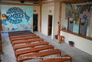 Nusa Penida: Snorkling på tre steder med GoPro og landtur i vest