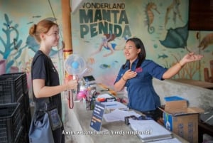 Nusa Penida: Snorkling på tre steder med GoPro og landtur i vest