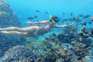 Nusa Penida: Snorkeling em 4 pontos em lancha rápida com guia