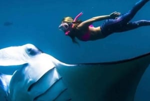 Nusa Penida: Snorkelen op 4 plekken per speedboot met gids