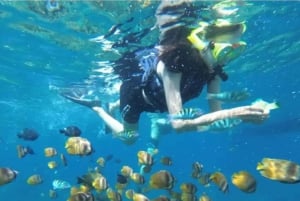 Nusa Penida: Snorkeling w 4 miejscach łodzią motorową z przewodnikiem