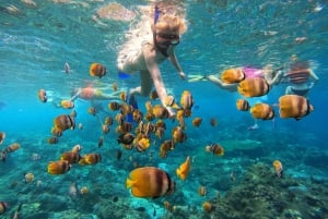 Nusa Penida: Snorkeling in 4 punti con guida