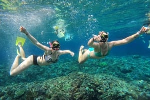 Nusa Penida: Snorkeling in 4 punti con guida