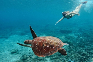 Nusa Penida: Snorkeling in 4 spots (manta rays) + Land tour