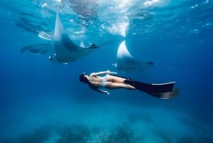 Nusa Penida: snorkel y tour panorámico de la isla desde Bali