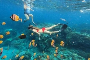 Nusa Penida Snorkeling Tour and Car Temple Visit