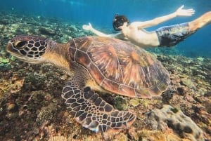 Nusa Penida Snorkeling Tour and Car Temple Visit