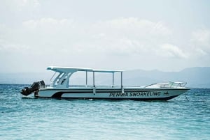 Nusa Penida : excursion de snorkeling avec raies manta et tortues