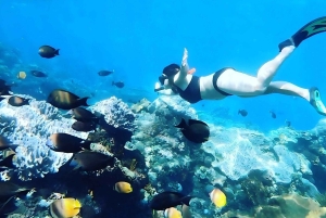 Nusa Penida : excursion de snorkeling avec raies manta et tortues