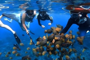 Nusa Penida : excursion de snorkeling avec raies manta et tortues