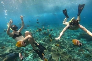 Nusa Penida : excursion de snorkeling avec raies manta et tortues