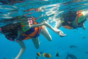 Nusa Penida : excursion de snorkeling avec raies manta et tortues