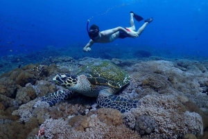 Nusa Penida : excursion de snorkeling avec raies manta et tortues